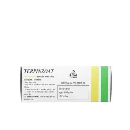 Viên Nang Terpinzoat - Hộp 10 Vỉ x 10 Viên - Ảnh 3