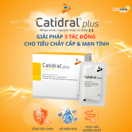 bot-pha-hon-dich-catidral-plus-bu-nuoc-dien-giai