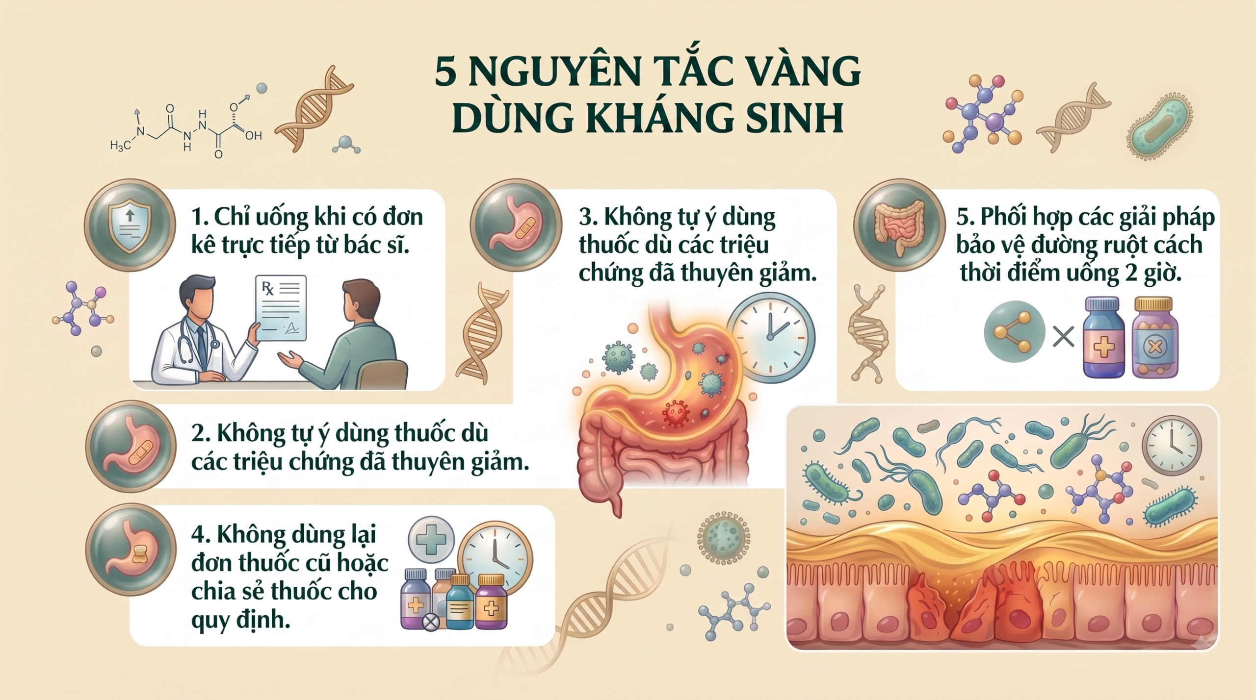 khang-sinh-huong-dan-su-dung-an-toan