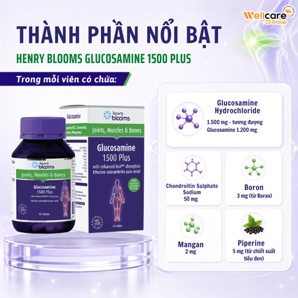 henry-blooms-glucosamine-1500-plus