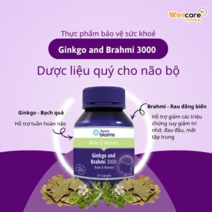 Vien-uong-bo-nao-ginkgo-and-brahmi-3000